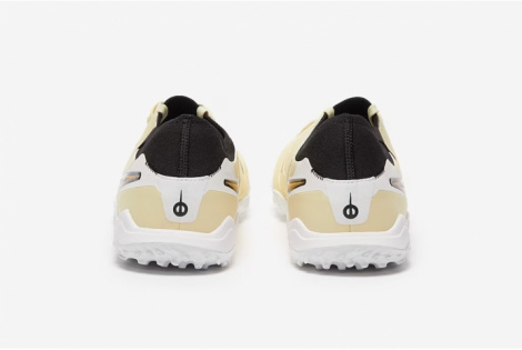 Сороконіжки Nike Legend 10 Pro Tf