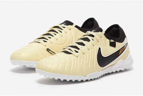 Сороконіжки Nike Legend 10 Pro Tf