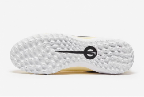 Сороконіжки Nike Legend 10 Pro Tf