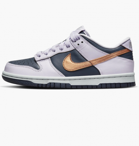 Кроссовки Nike Dunk Low Se (Gs)