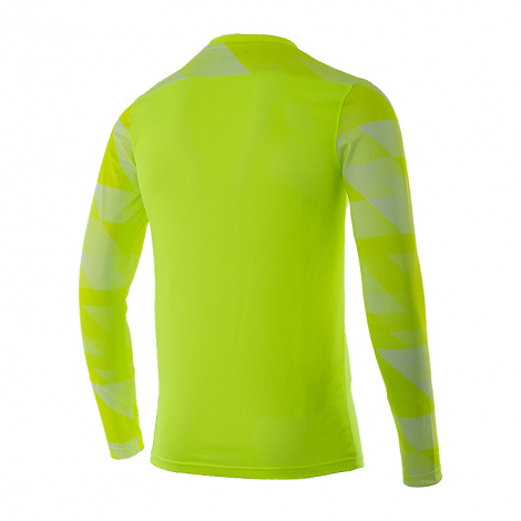 Кофта Nike Dry Park Iv Goalkeeper Jersey Long Sleeve
