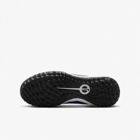 Сороконіжки Nike Jr Legend 10 Academy Tf