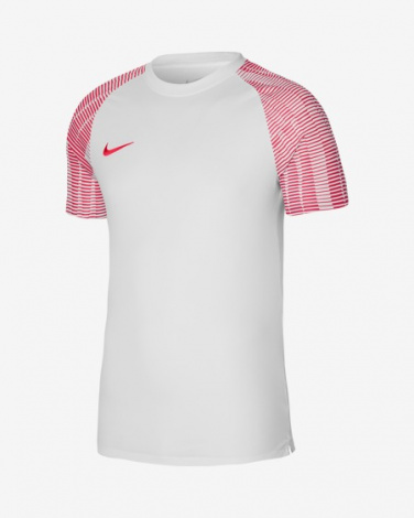Футболка Ігрова Nike Dri-Fit Academy Dh8031-100