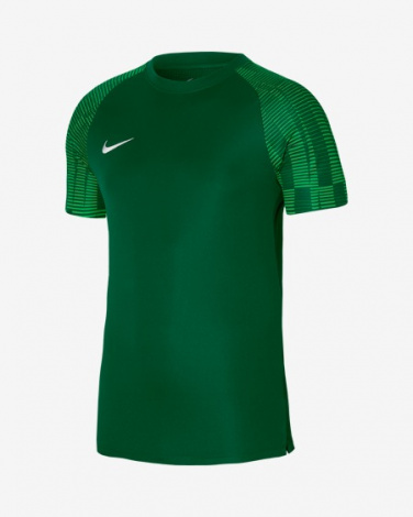 Футболка Ігрова Nike Dri-Fit Academy Dh8031-302