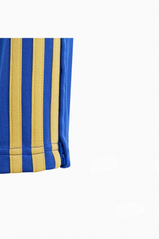 Дитячі штани adidas Pitch 2 Street Messi Junior - синій