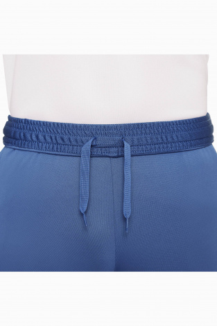 Штани Nike Dri-FIT Academy 21 - синій