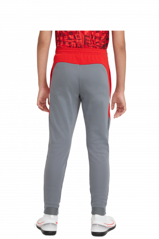 Детские штаны Nike Dri-FIT Academy Junior - серый