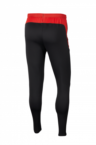 Штаны Nike Dry Academy Pro - серый