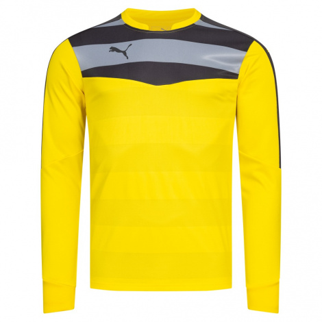 Кофта Puma Stadium Gk 702089-55.