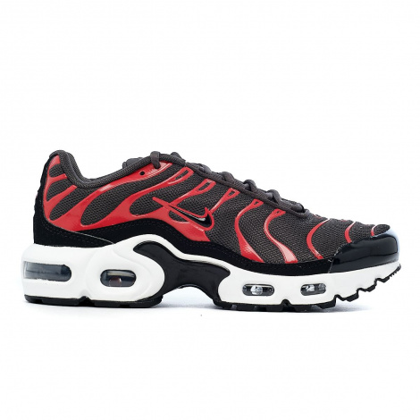 Кроссовки Nike Air Max Plus Bred (2021) (Gs)