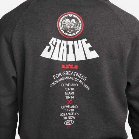 Худі Nike Lebron Pullover Basketball Hoodie Grey