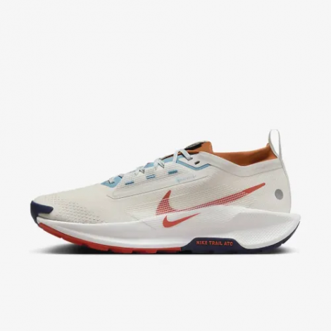 Кросівки Nike Pegasus Trail 5 Gtx