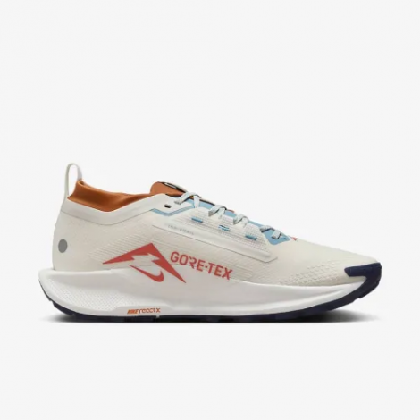 Кросівки Nike Pegasus Trail 5 Gtx