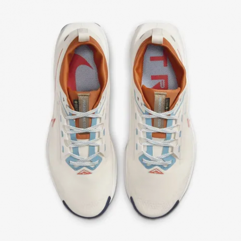 Кросівки Nike Pegasus Trail 5 Gtx