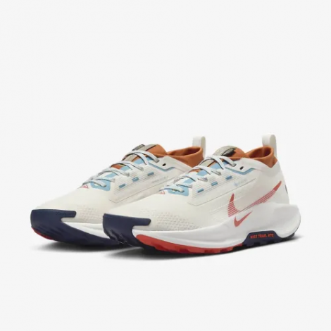 Кросівки Nike Pegasus Trail 5 Gtx
