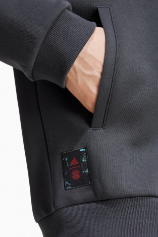 Кофта adidas FC Bayern 24/25 Seasonal Doubleknit - Сірий