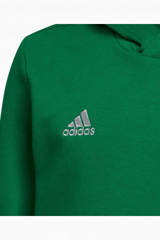 Дитяча кофта adidas Entrada 22 Sweat Junior - зелений