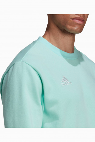 Кофта adidas Entrada 22 Sweat Top - блакитний