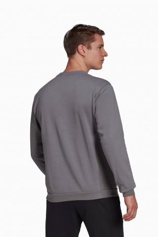 Кофта adidas Entrada 22 Sweat Top - Сірий