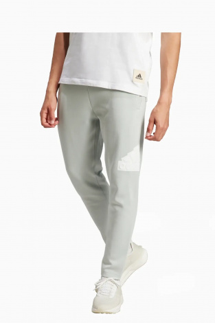 Штаны adidas Future Icons Badge of Sport - серый