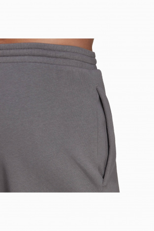 Штани adidas Entrada 22 Sweat - Сірий