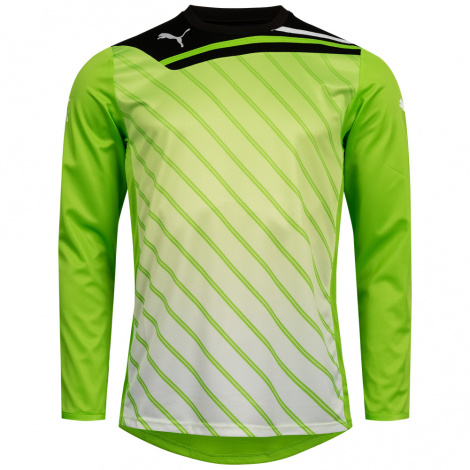 Кофта Воротаря Puma 701006-27
