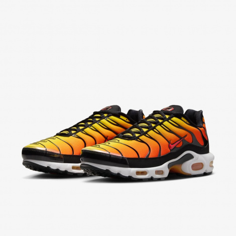 Кросівки Nike Air Max Plus