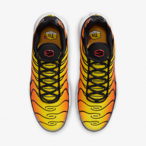 Кросівки Nike Air Max Plus