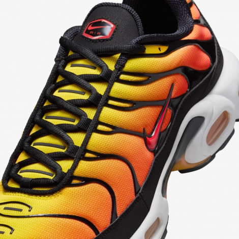 Кросівки Nike Air Max Plus