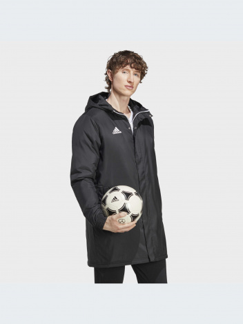 Куртка Мужская Adidas Ent22 Stadjk (Ib6076)