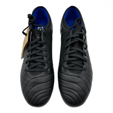 Бутсы Nike Legend 10 Pro Fg