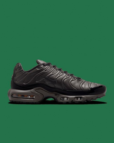 Кроссовки Мужские Nike Air Max Plus Paris Lifestyle Shoe Black