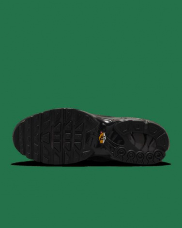 Кроссовки Мужские Nike Air Max Plus Paris Lifestyle Shoe Black