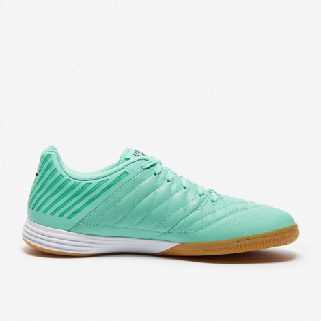 Сороконожки Nike Lunargato Ii