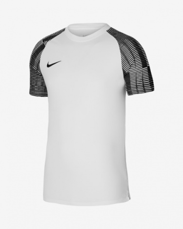 Футболка Игровая Nike Dri-Fit Academy Dh8369-104