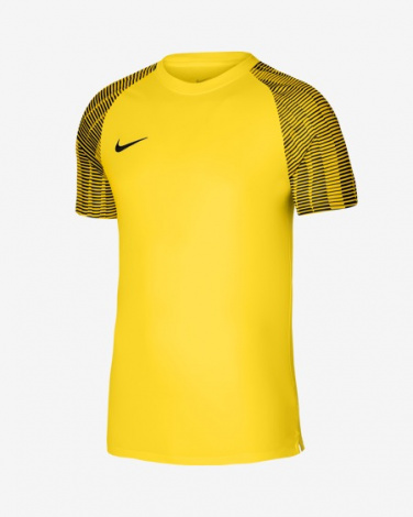 Футболка Игровая Nike Dri-Fit Academy Dh8369-719