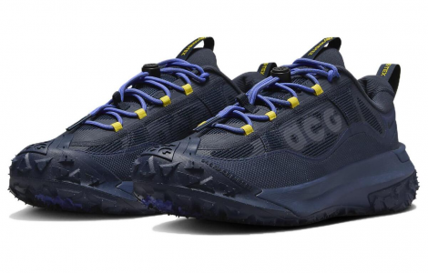 Кросівки Nike Acg Mountain Fly 2 Low Gtx