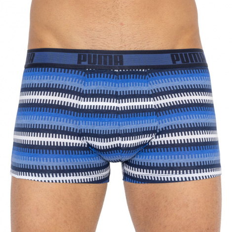 Трусы-боксеры Puma Worldhood Stripe Trunk 2P Синий, Белый, Серый, Черный Мужской L