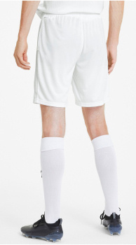 Шорты Puma Teamgoal 23 Knit Shorts Белый Мужской L