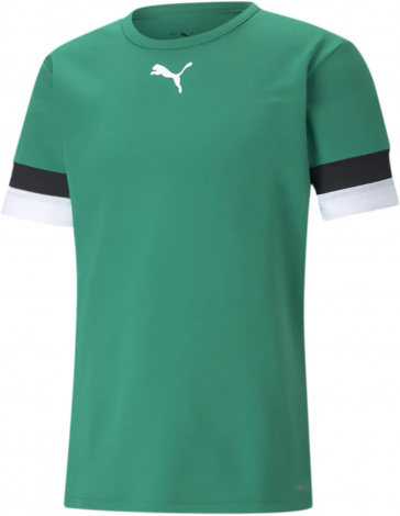 Футболка Puma Teamrise Jersey Зеленый Мужской L