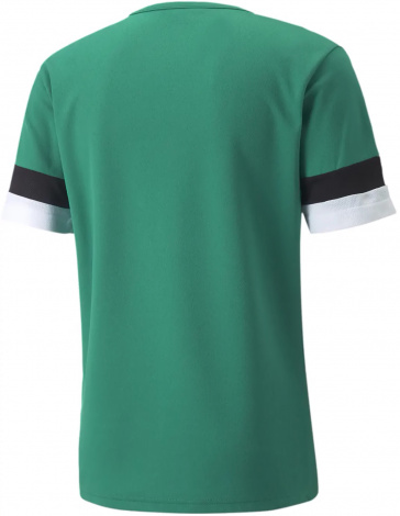 Футболка Puma Teamrise Jersey Зеленый Мужской L