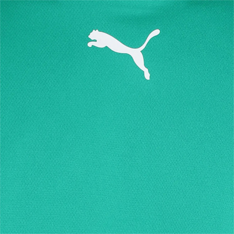 Футболка Puma Teamrise Jersey Зеленый Мужской L