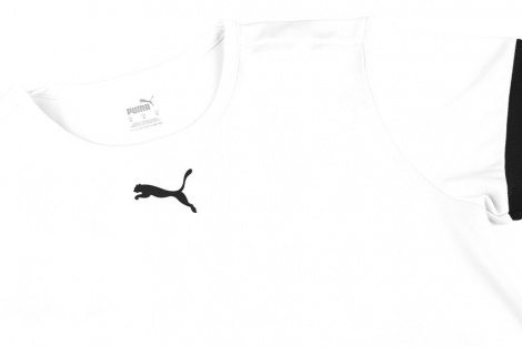 Футболка Puma Teamrise Jersey Jr Белый Детский 128