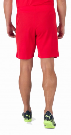 Шорты Puma Teamrise Short Красный Мужской L