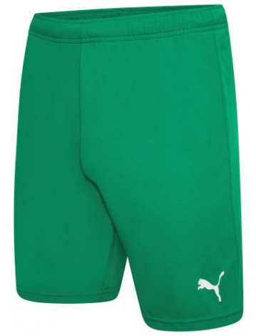 Шорти Puma TEAMRISE SHORT зелені 704942-05