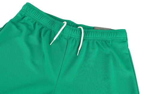 Шорти Puma TEAMRISE SHORT зелені 704942-05