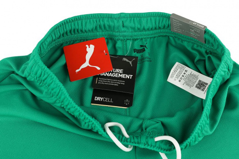 Шорти Puma TEAMRISE SHORT зелені 704942-05