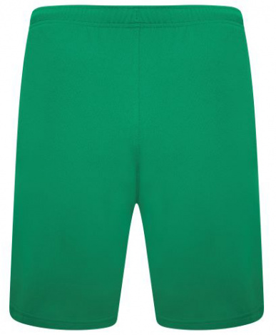 Шорти Puma TEAMRISE SHORT зелені 704942-05