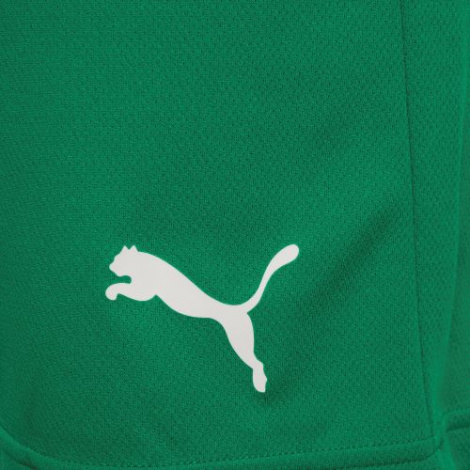 Шорти Puma TEAMRISE SHORT зелені 704942-05