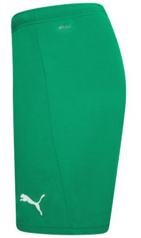 Шорти Puma TEAMRISE SHORT зелені 704942-05